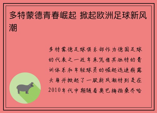 多特蒙德青春崛起 掀起欧洲足球新风潮